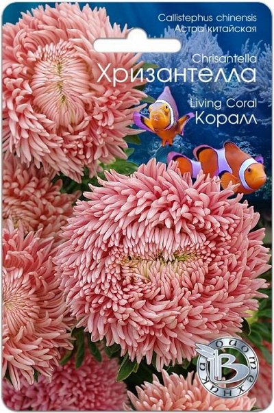 Биотехника. Уникальные семена овощей и цветов.