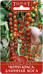 Томат Черри-Краса-Длинная коса
