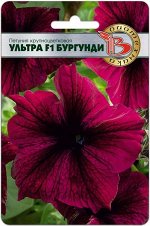Петуния крупноцветковая Ультра F1 Бургунди