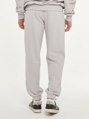 Брюки мужские 7222-17007/2   ТФ106 пепел