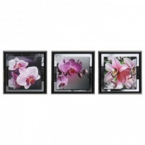 Картина модульная "Розовая орхидея" 25х75(28х84) см  3шт-25х25(28х28)см