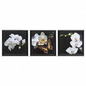 Картина модульная  "Орхидея" 25х75(28х84) см  3шт-25х25(28х28)см