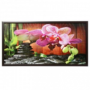 Картина "Орхидеи" 50х100(55х105) см