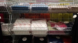 Джемпер Нужный цвет пишем в примечании к заказу