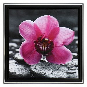 Картина "Орхидея" 25х25(28х28) см