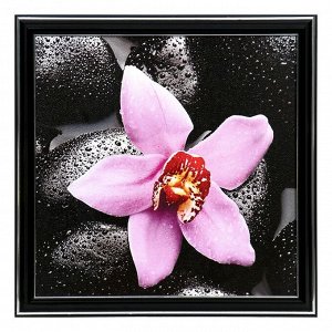 Картина "Розовая орхидея"  25х25(28х28) см
