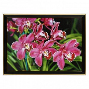 Картина "Орхидеи" 25 х 35(28х38) см