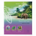Тетрадь предметная &quot;ЯРКАЯ&quot;, 36 л., обложка мелованная бумага, БИОЛОГИЯ, клетка, BRAUBERG, 404227