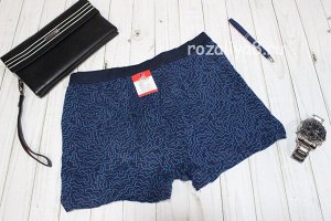 Трусы мужские боксеры p-p 46-54 Арт. 34121 Veenice (к.11099)