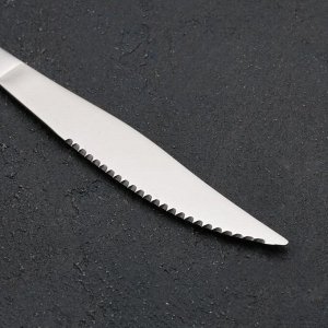 Нож для стейка «Моника», 22 см