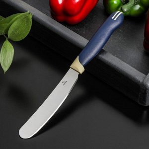 Нож Доляна «Страйп» для масла, лезвие 7,5 см, цвет синий