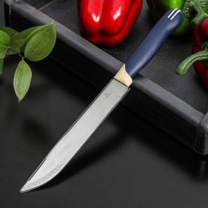 Нож универсальный Доляна «Страйп», лезвие 15 см, цвет синий