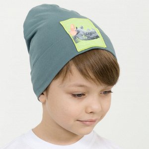 BFQZ3265 шапка для мальчиков