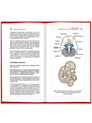 Машина мышления. Комплект из 2-х книг. Том 1 и Том 2. Курпатов А.В. .Академия смысла