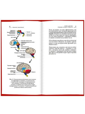 Машина мышления. Комплект из 2-х книг. Том 1 и Том 2. Курпатов А.В. .Академия смысла