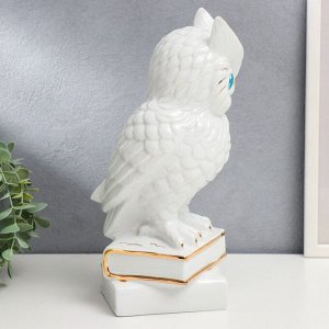 Сувенир керамика "Белый филин на книгах" с золотом 29х14,5х14 см