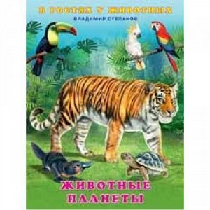 ВГостяхУЖивотных Степанов В.Ю. Животные планеты, Арт.27759, (Фламинго, 2021), Обл, c.16