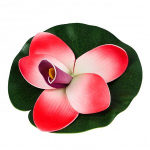 INBLOOM Орхидея декоративная для пруда, ПВХ, 14см, 5 цветов