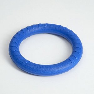 Кольцо-снаряд из EVA, плавающее, 19,5 см, синее