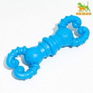 Игрушка для собак резиновая "Гантель-крабы", TPR, 11.5 х 2 см, голубая