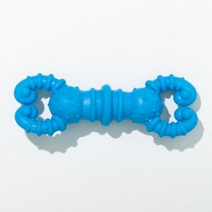 Игрушка для собак резиновая "Гантель-крабы", TPR, 11.5 х 2 см, голубая