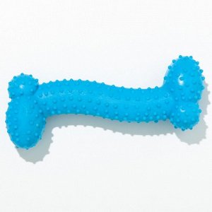 Игрушка жевательная "Любимое лакомство", TPR, 11 х 4 см, голубая