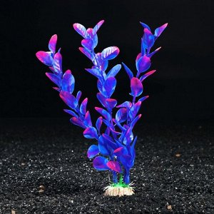 Растение искусственное аквариумное Бакопа Фиолетовая, 20 см