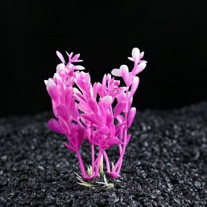 Растение искусственное аквариумное Пижон Аква «Альтернантера сидячая», 10 см