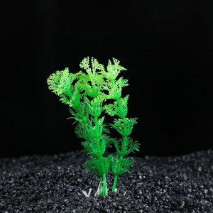 Растение искусственное аквариумное Амбулия, 10 см, зеленая