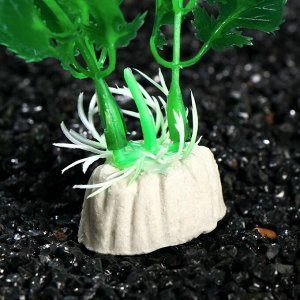 Растение искусственное аквариумное Людвигия, 10 см, зеленая