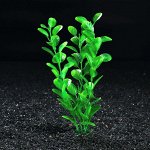 Растение искусственное аквариумное Бакопа каролинская, 20 см   1122348