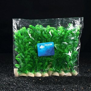Растение искусственное аквариумное Бакопа каролинская, 20 см