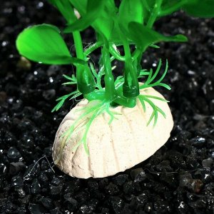 Растение искусственное аквариумное Бакопа каролинская, 20 см