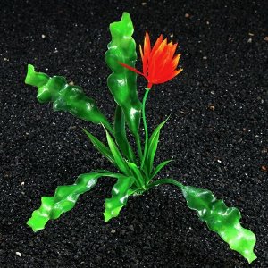 Растение искусственное аквариумное Пижон Аква «Апоногетон курчавый», 20 см