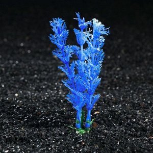 Растение искусственное аквариумное Лимнофила, 10 см, бело-синяя