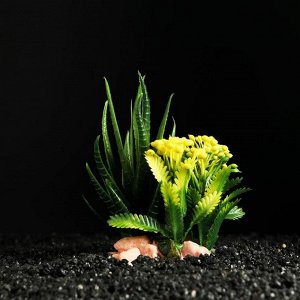 Растение искусственное аквариумное, на ракушке, 13 х 11 см