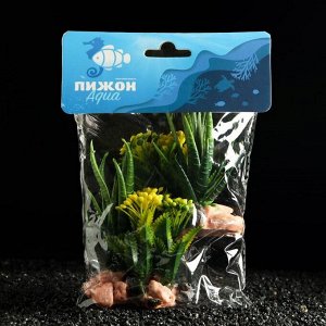 Растение искусственное аквариумное Пижон Аква, на ракушке, 13 х 11 см