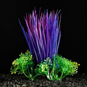 Растение искусственное аквариумное, 10 см, фиолетово-зелёное