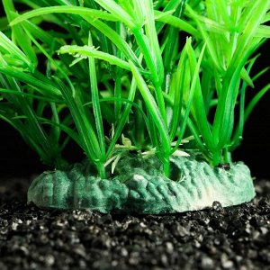 Растение искусственное аквариумное Пижон Аква, зелёное, 11 см