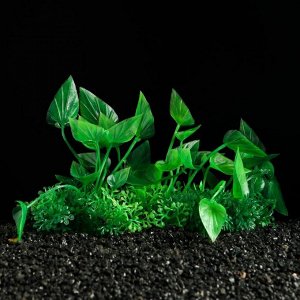 Растение искусственное аквариумное Пижон Аква, зелёное, 10 см