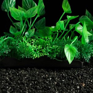 Растение искусственное аквариумное Пижон Аква, зелёное, 10 см