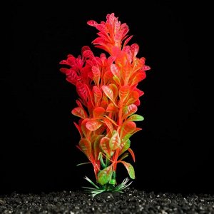 Растение искусственное аквариумное, 3 х 13 см, зелёно-розовое