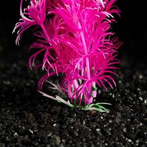 Растение искусственное аквариумное Пижон Аква, розово-белое, 3 х 13 см