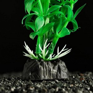 Растение искусственное аквариумное Пижон Аква, зелёное, 3 х 13 см
