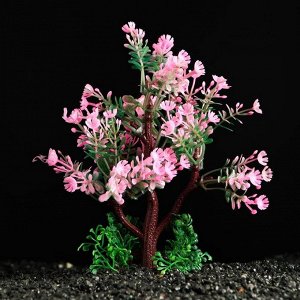 Растение искусственное аквариумное, 15 см, розово-зелёное