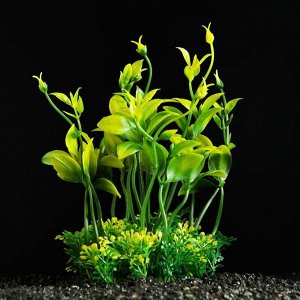 Растение искусственное аквариумное Пижон Аква, зелёное, 15 см