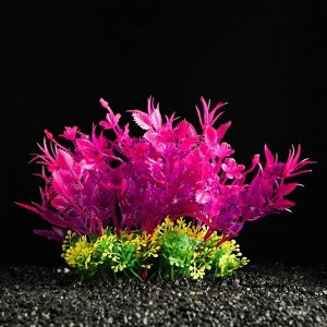 Растение искусственное аквариумное Пижон Аква, розово-зелёное, 15 см
