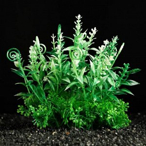 Растение искусственное аквариумное Пижон Аква, зелёное, 15 см