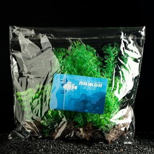 Растение искусственное аквариумное Пижон Аква, на платформе в виде коряги, 18 см