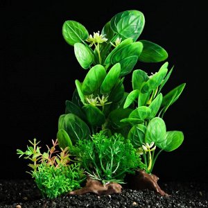 Растение искусственное аквариумное Пижон Аква, на платформе в виде коряги, зелёное, 18 см